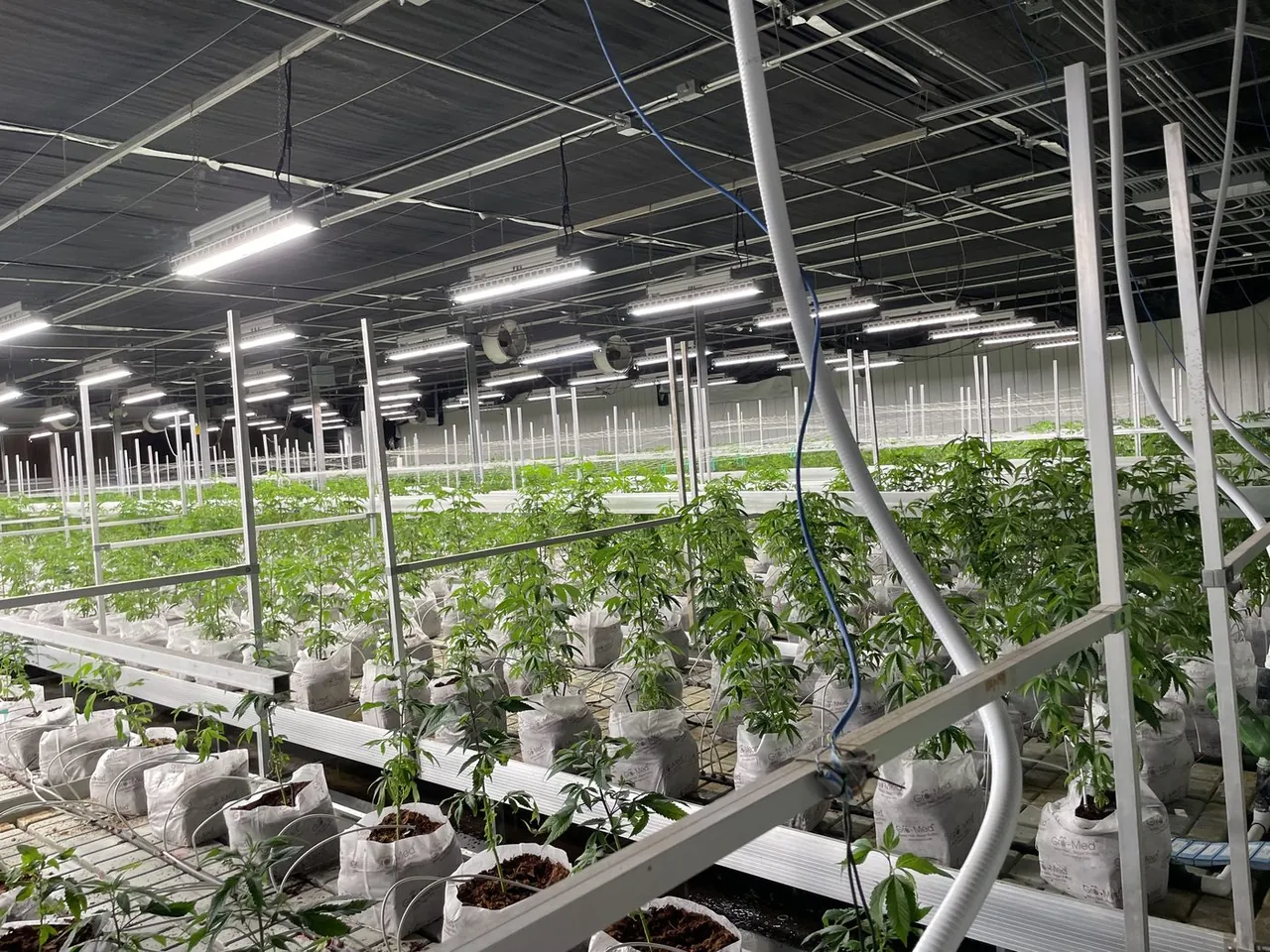 Facility Overview