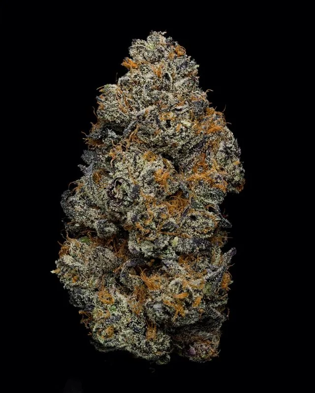 London Truffle